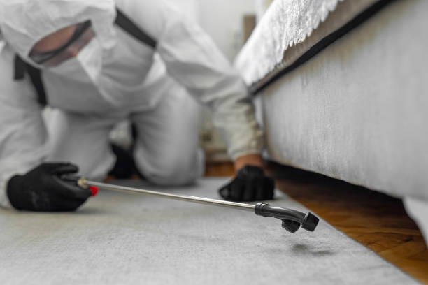 Professional Bed Bug Control technician working in Cole County County, MO